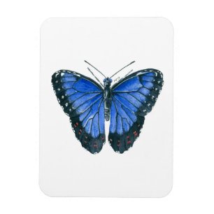 Blaue Morpho-Schmetterling-Aquarellmalerei Magnet