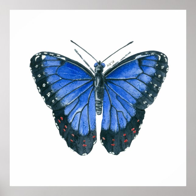 Blaue Morpho-Schmetterling-Aquarellmalerei Poster (Vorne)