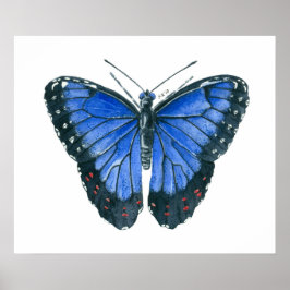 Blaue Morpho-Schmetterling-Aquarellmalerei Poster