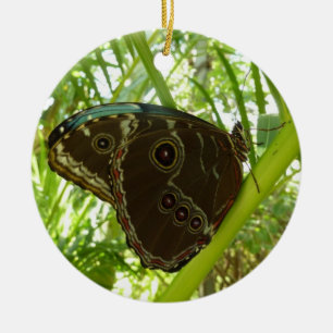 Blaue Morpho-Schmetterling Naturfotografie Keramikornament