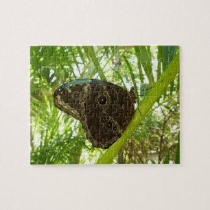 Blaue Morpho-Schmetterling Naturfotografie Puzzle