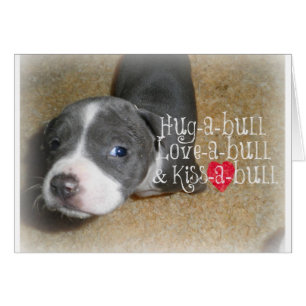 Blaue Nasen-Umarmungen