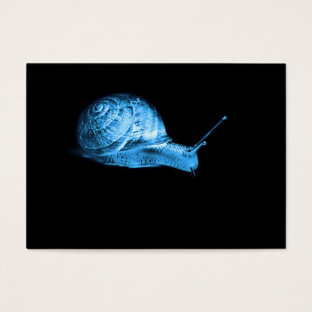 Blaue Neonschnecke (Vorderseite)