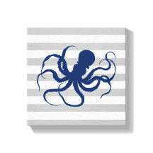 Blaue Octopus Grau-weiße Streifen