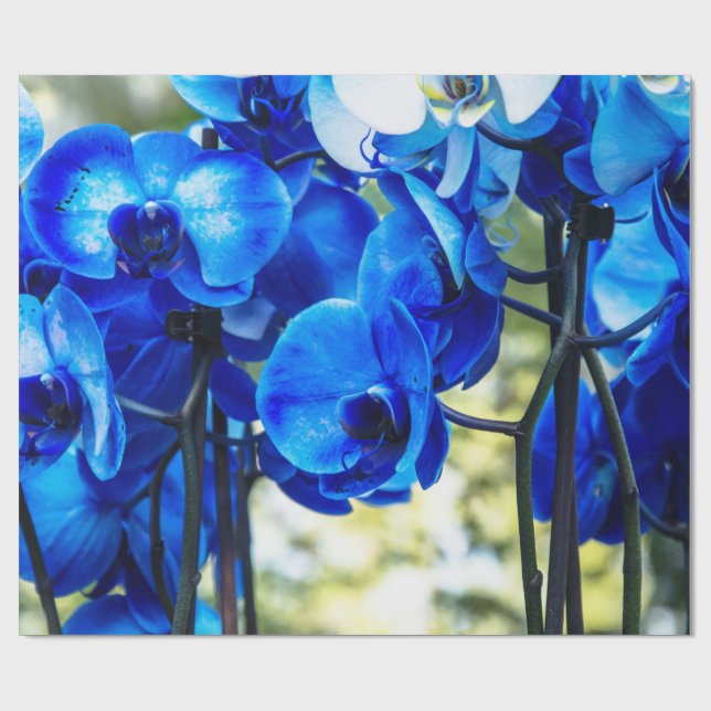 Blaue Orchidee Geschenkpapier (Flach)