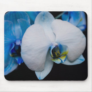 Blaue Orchidee Mousepad