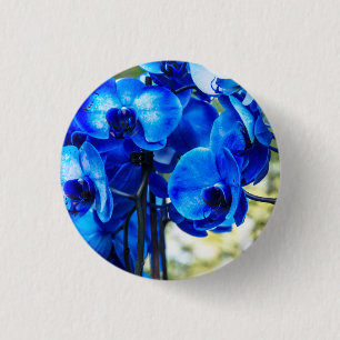 Blaue Orchideen Button