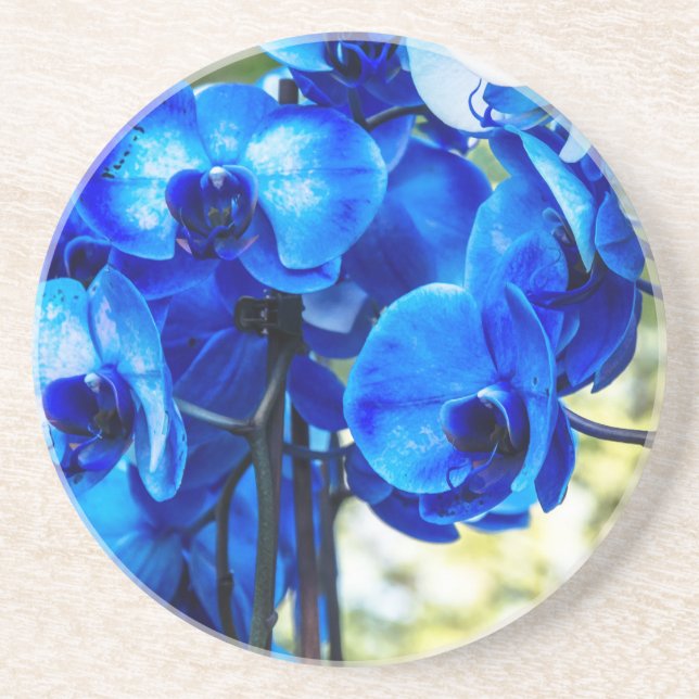 Blaue Orchideen Getränkeuntersetzer (Vorne)