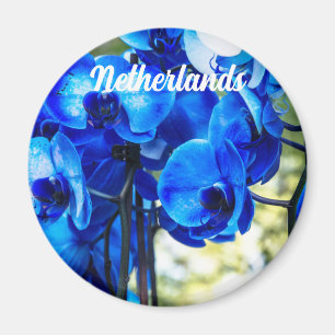 Blaue Orchideen Magnet