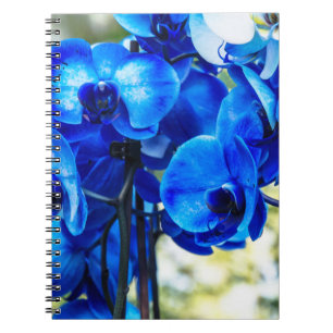 Blaue Orchideen Notizblock