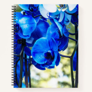 Blaue Orchideen Notizbuch