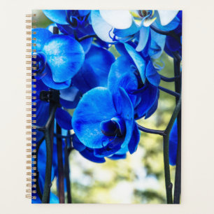 Blaue Orchideen Planer