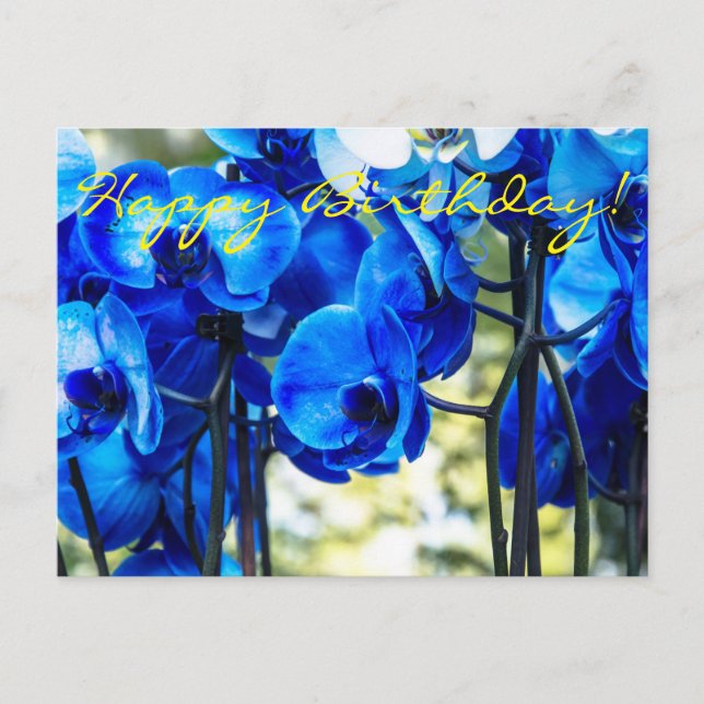 Blaue Orchideen Postkarte (Vorderseite)