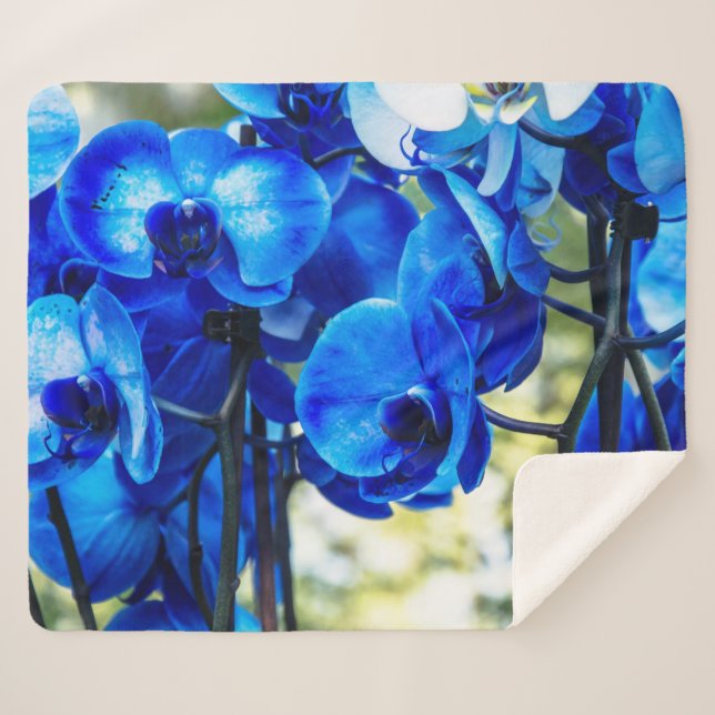 Blaue Orchideen Sherpadecke (Vorderseite (Horizontal))