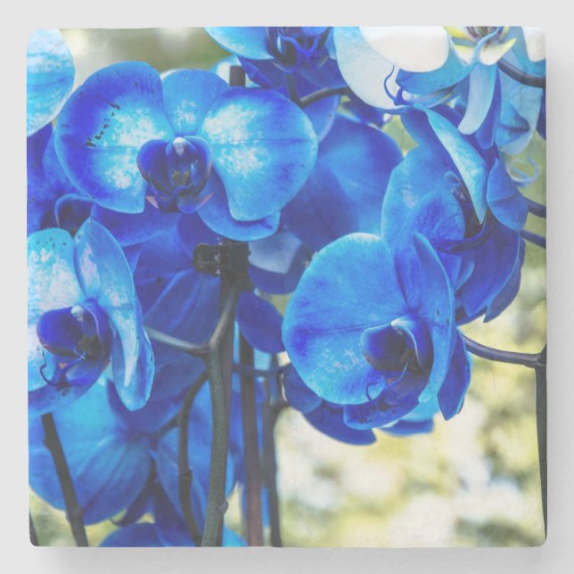 Blaue Orchideen Steinuntersetzer (Vorderseite)