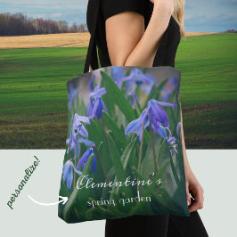 Blaue Oszillatoren-Blume im Frühjahrsgarten