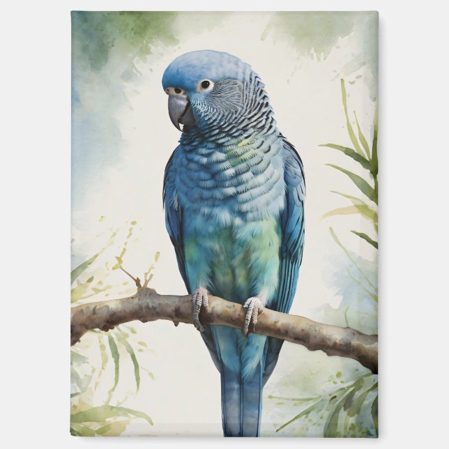 Blaue Parakeet Eukalyptus Tree Magnet (Vorderseite)