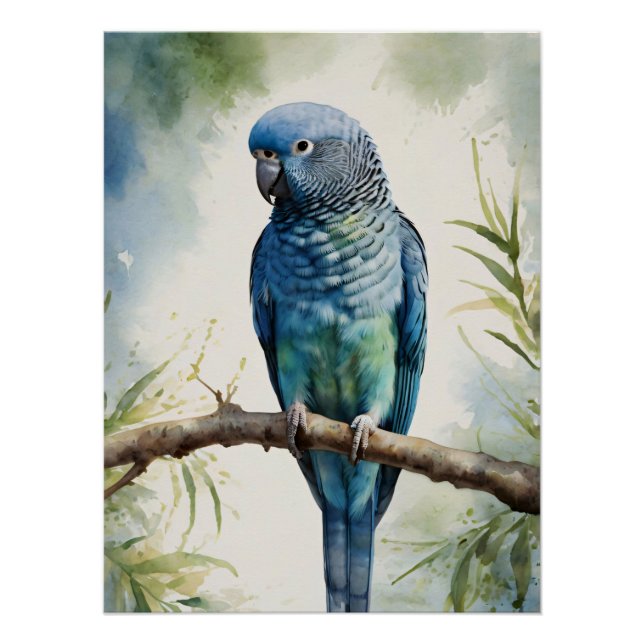 Blaue Parakeet Eukalyptus Tree Poster (Vorderseite)