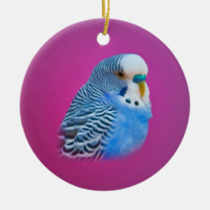 Blaue Parakeet-Verzierung Keramik Ornament