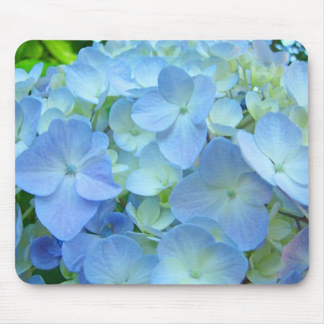 Blaue Pastellhydrangea-Blumen mousepads mit Blumen (Vorne)