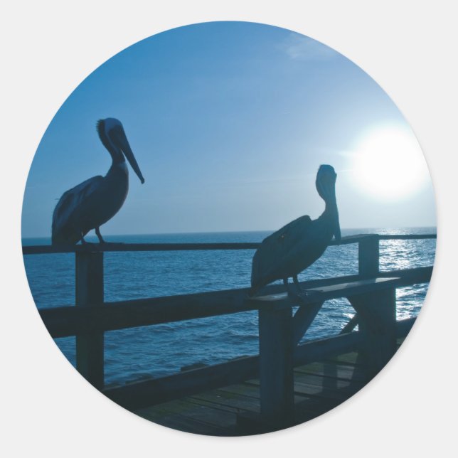 Blaue Pelikane/Sticker Runder Aufkleber (Vorderseite)