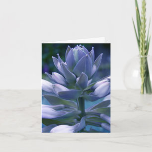 Blaue "photographische" tägliche Karte des Hosta