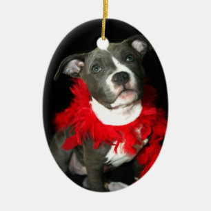 Blaue pitbull Welpenverzierung Keramik Ornament