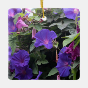 Blaue Pralulienwinden am Morgen Keramikornament