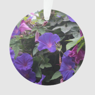 Blaue Pralulienwinden am Morgen Ornament