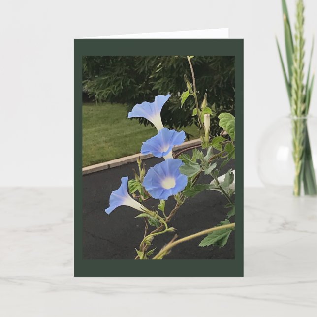 Blaue Prunkwinde Morgenpracht Blanko Karte (Vorderseite)