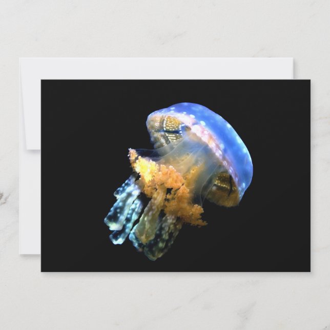 Blaue Qualle (Vorderseite)