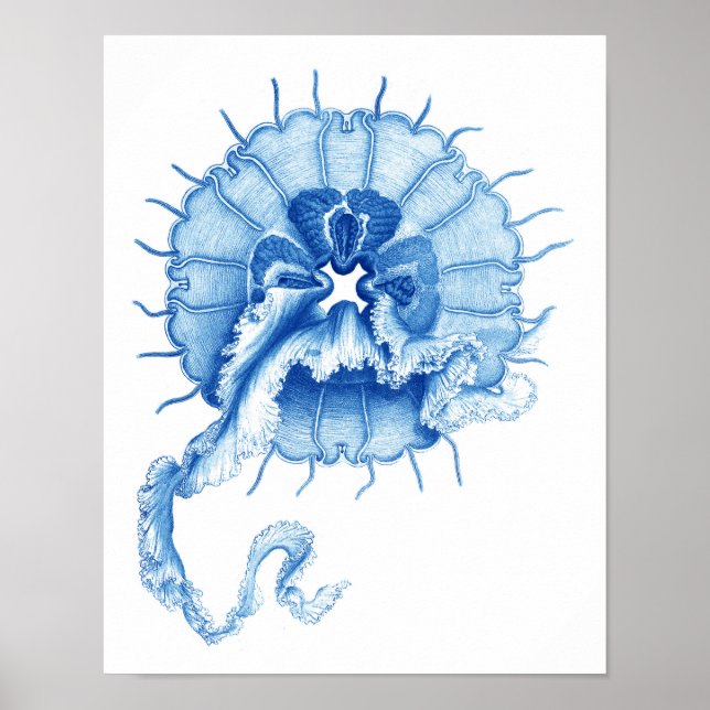 Blaue Qualle Art Print no.4 Nautical Wall Deco Poster (Vorne)