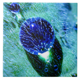 Blaue Regentropfen-Wasser-Perlen, Quadrat Keramik Fliese