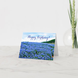 Blaue Rittersporne Blaue Blumen Texas Geburtstagsb Dankeskarte