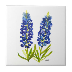 Blaue Rittersporne Texas Staatsblumen Lupine Aquar Fliese