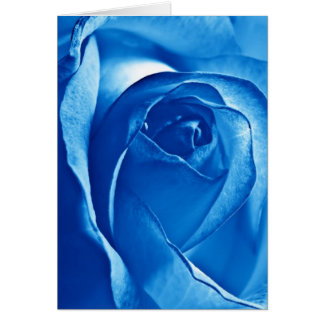 Blaue Rose