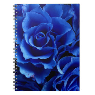 Blaue Rose Blume Pflanze Romantik Notizblock