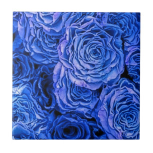 Blaue Rose Fliese