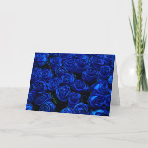 Blaue Rose Karte