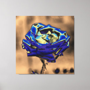 Blaue Rose Leinwanddruck