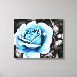 blaue Rose Leinwanddruck