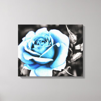 blaue Rose Leinwanddruck