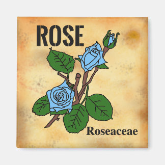 Blaue Rose Linienkunst im Stil von gealtertem Papi Magnet