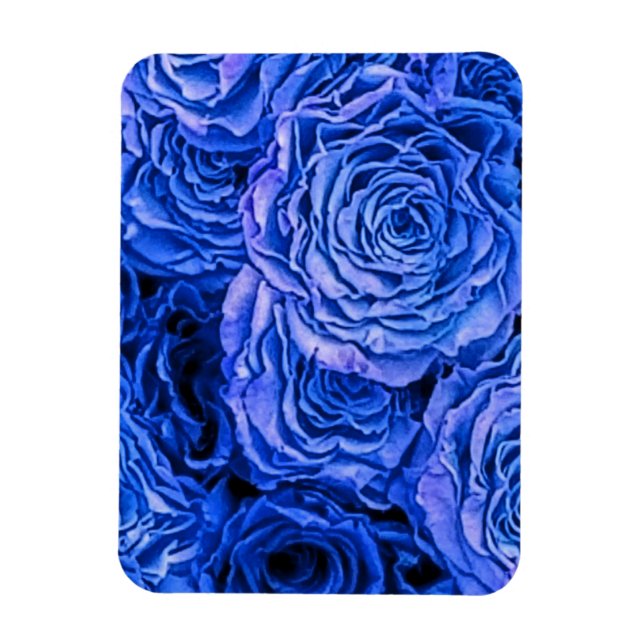 Blaue Rose Magnet (Vertikal)