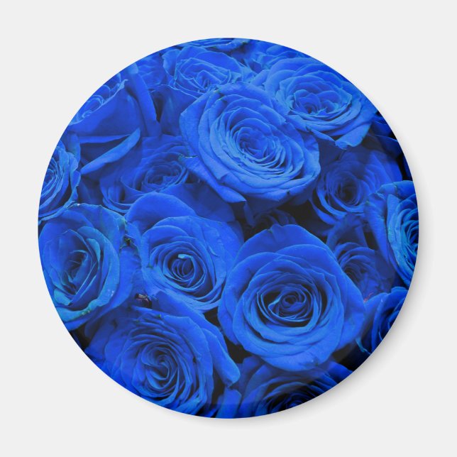 Blaue Rose Magnet (Vorne)