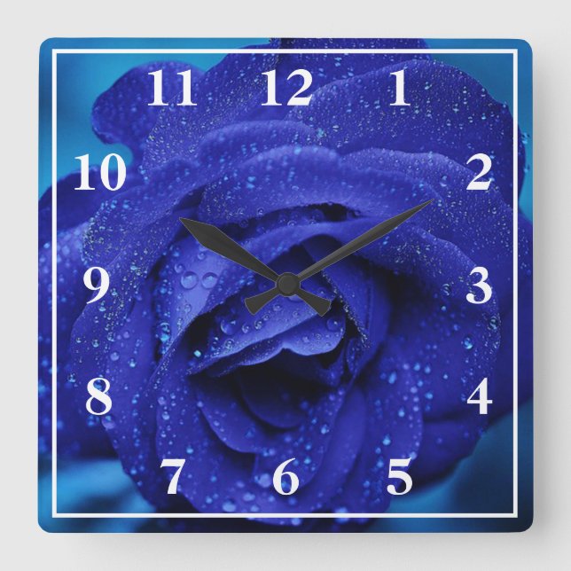 Blaue Rose mit Taubentropfen Quadratische Wanduhr (Vorderseite)