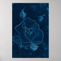 Blaue Rose
