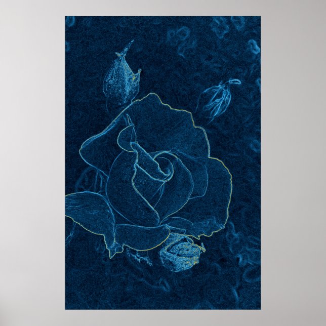 Blaue Rose Poster (Vorne)