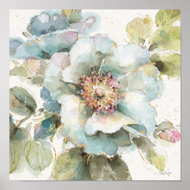 Blaue Rose Poster (Vorne)