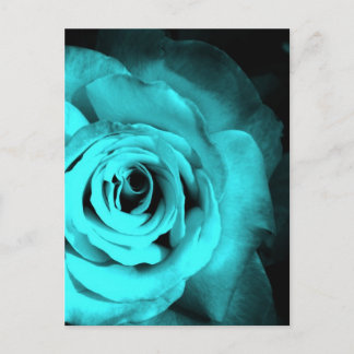 Blaue Rose Postkarte